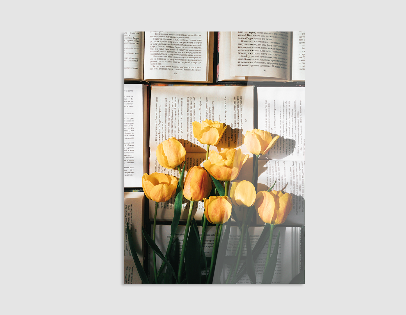 TULIPANES AMARILLOS SOBRE UN LIBRO