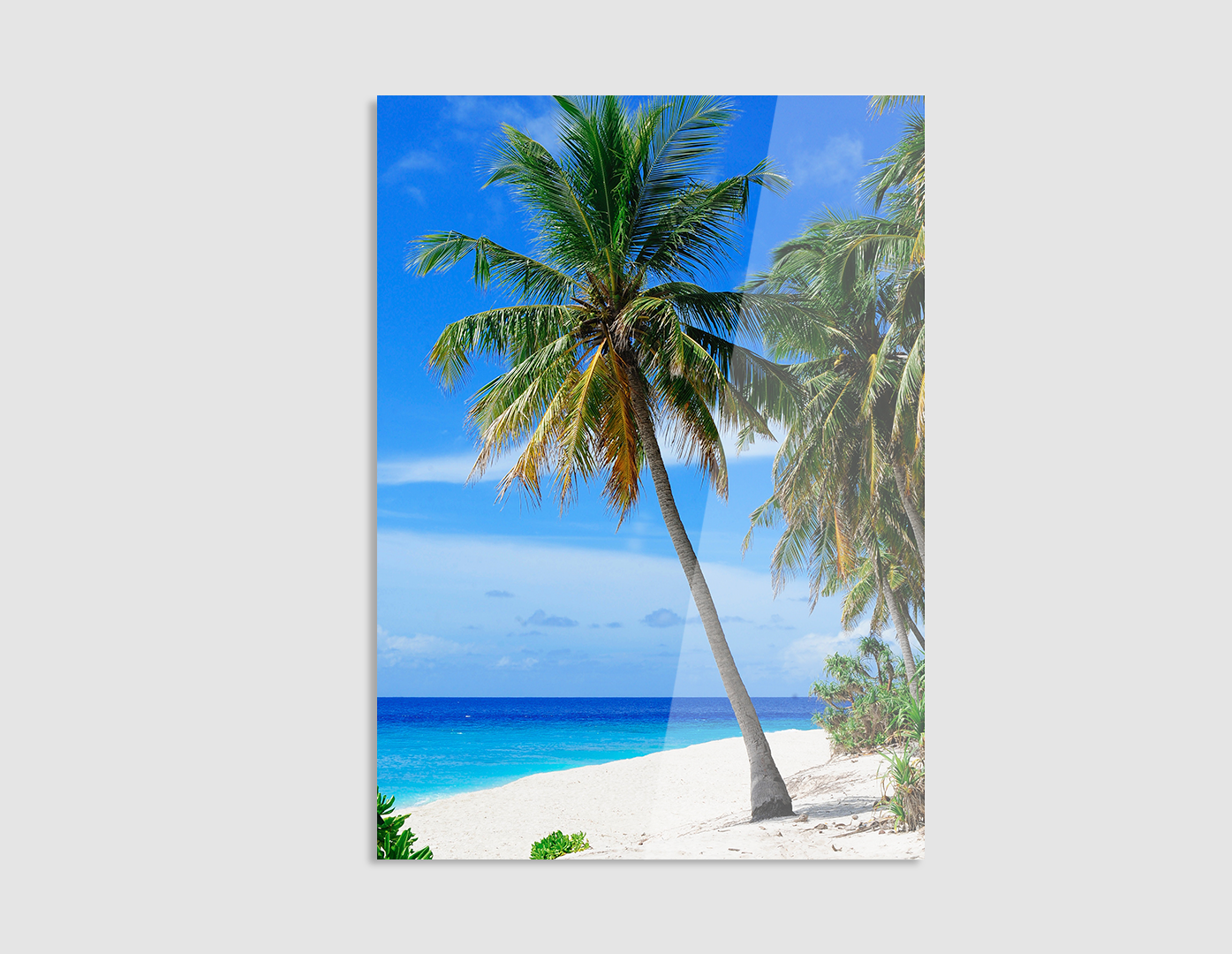 PALMERAS