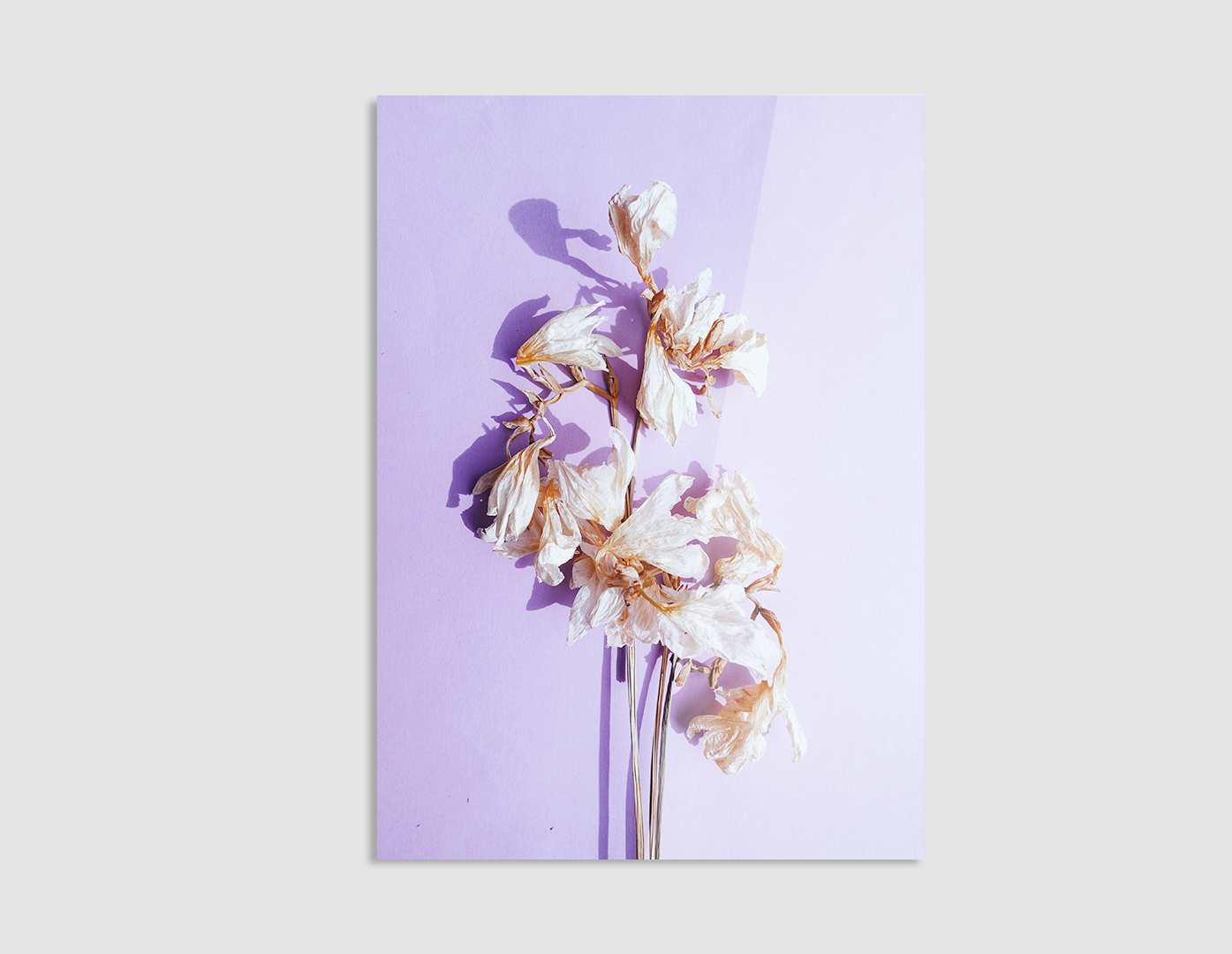 LILIUM