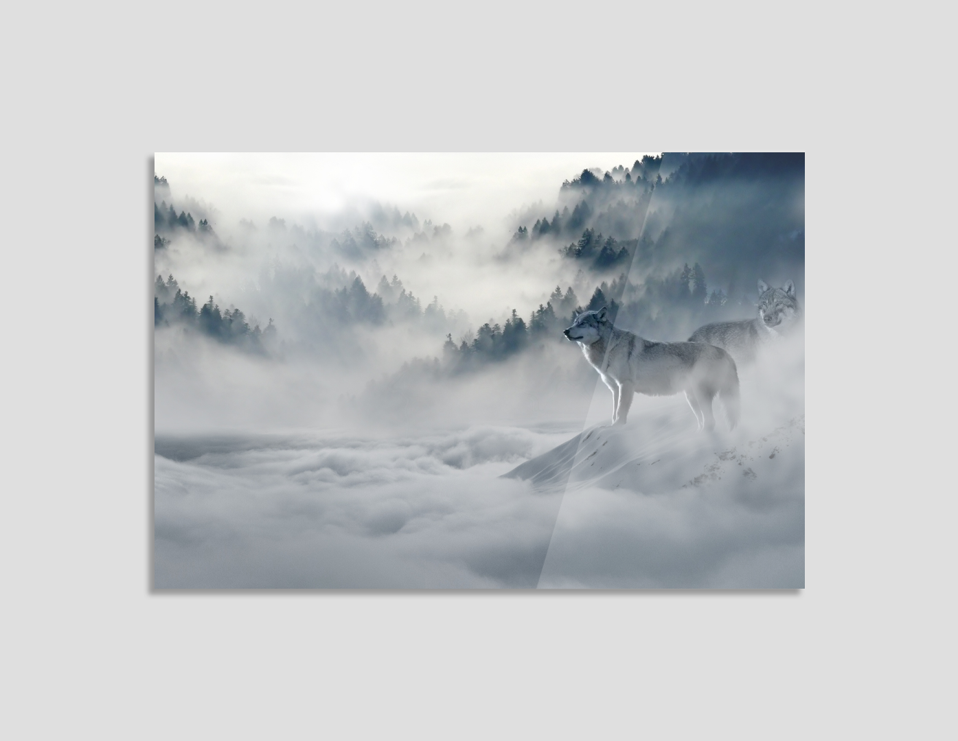 LOBOS