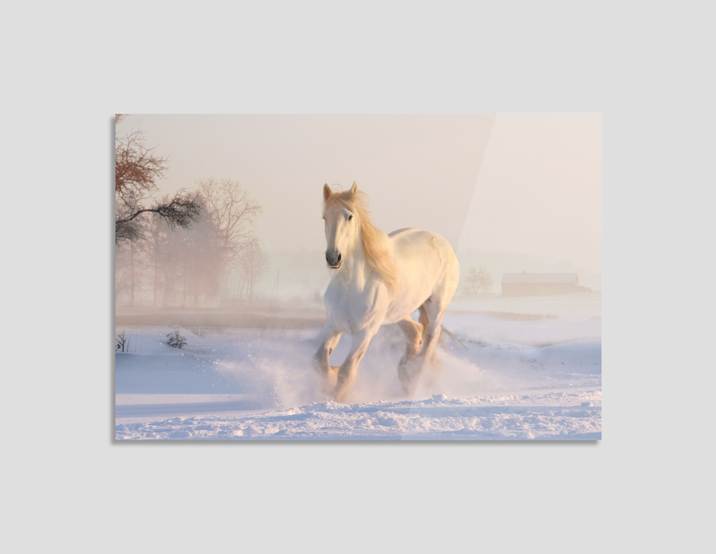 CABALLO BLANCO