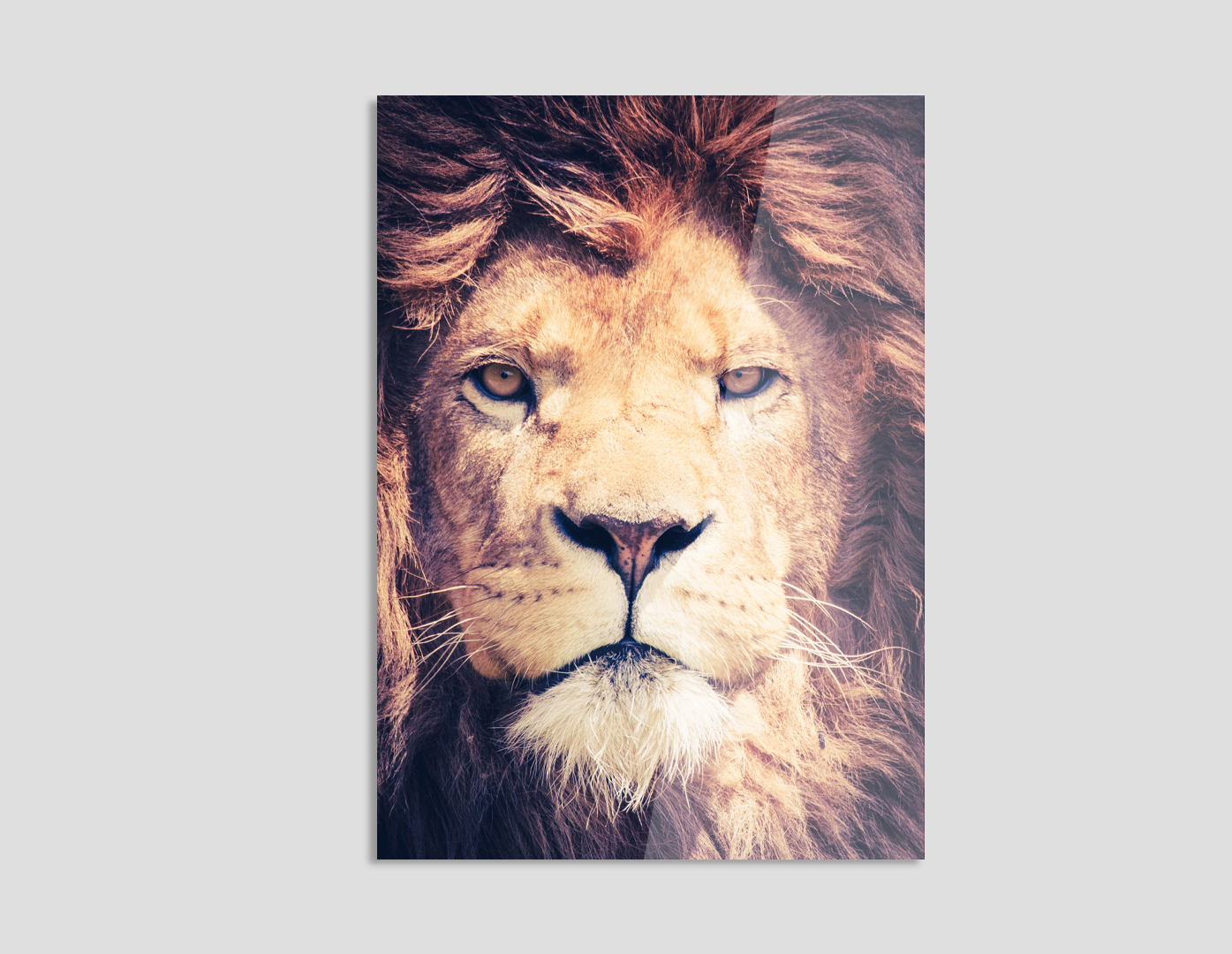 ROSTRO DE LEÓN COMPLETO