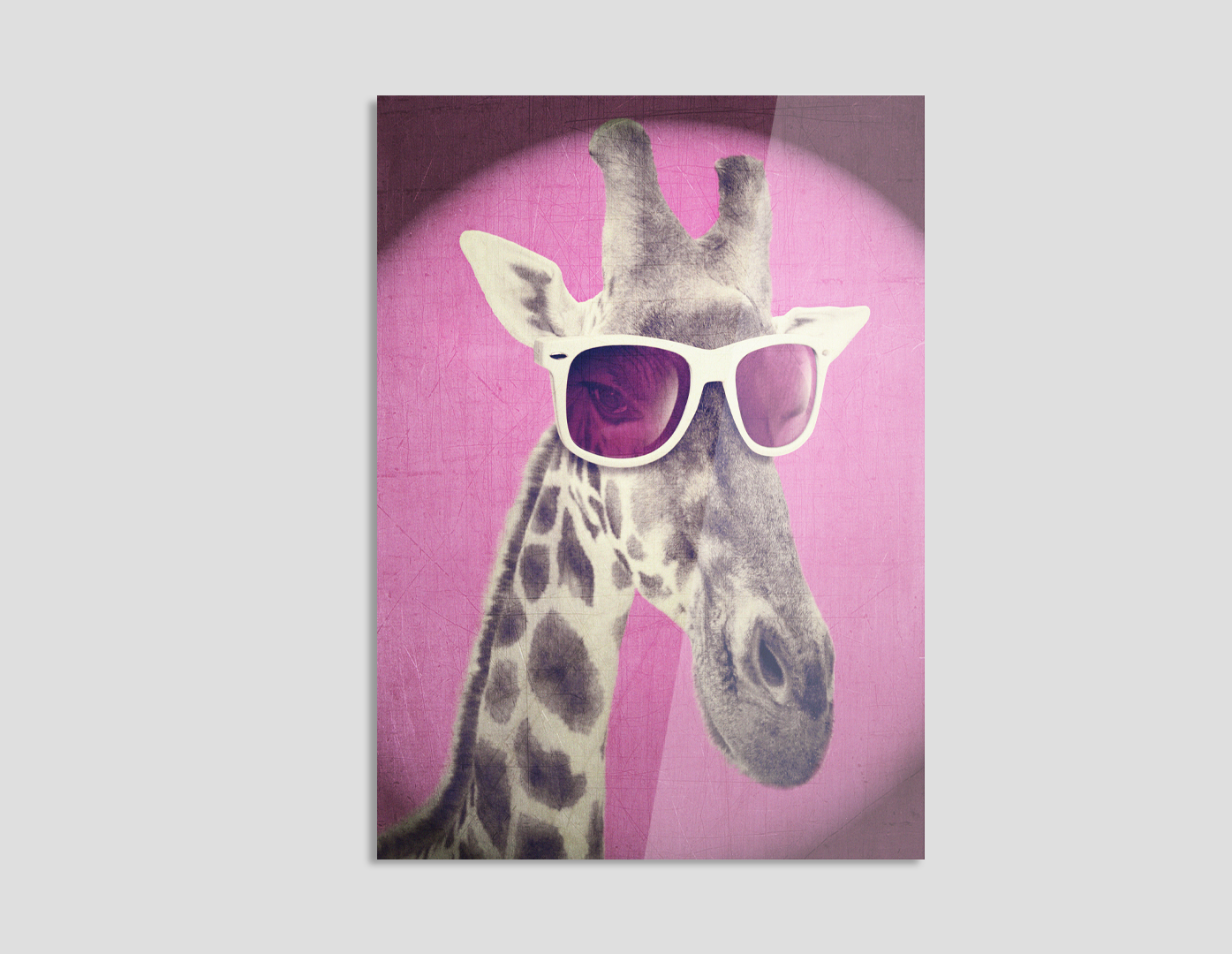 JIRAFA CON LENTES
