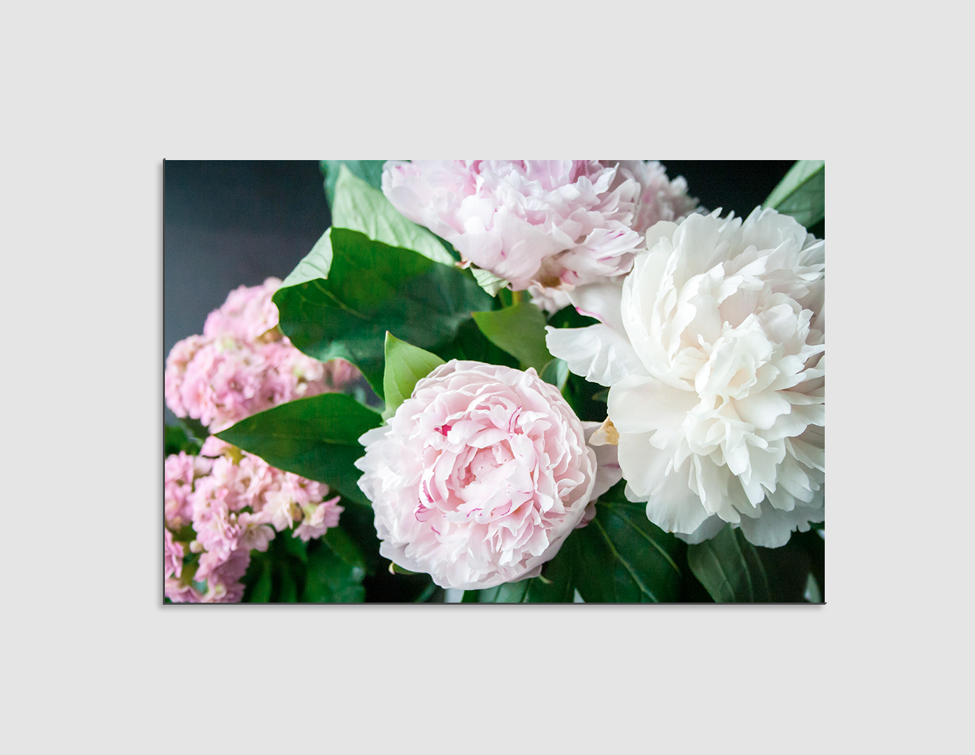 PEONIAS