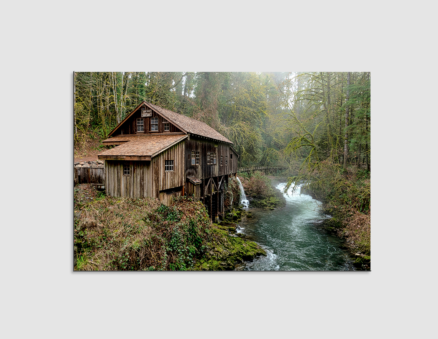 CABAÑA EN EL BOSQUE