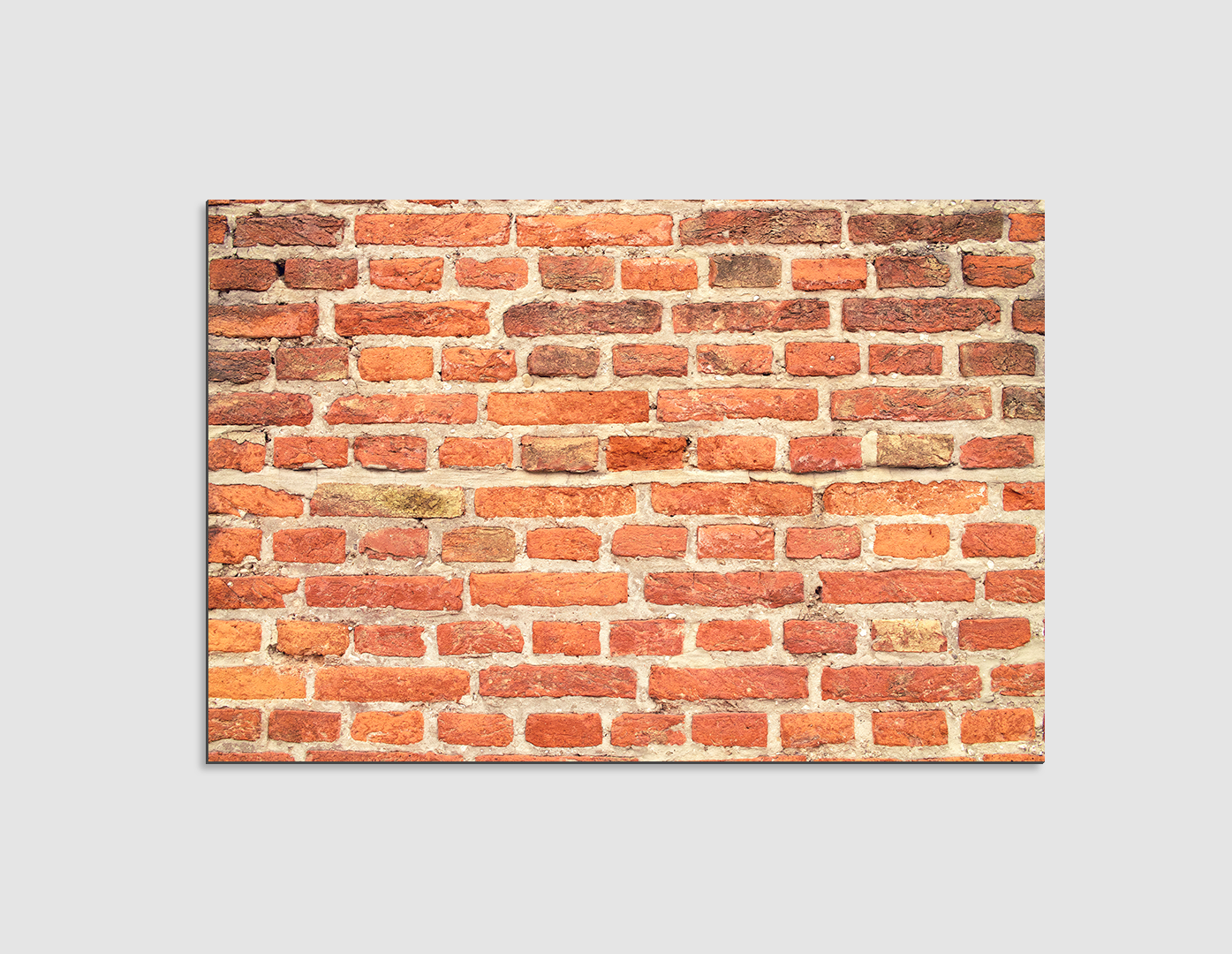 PARED DE LADRILLOS