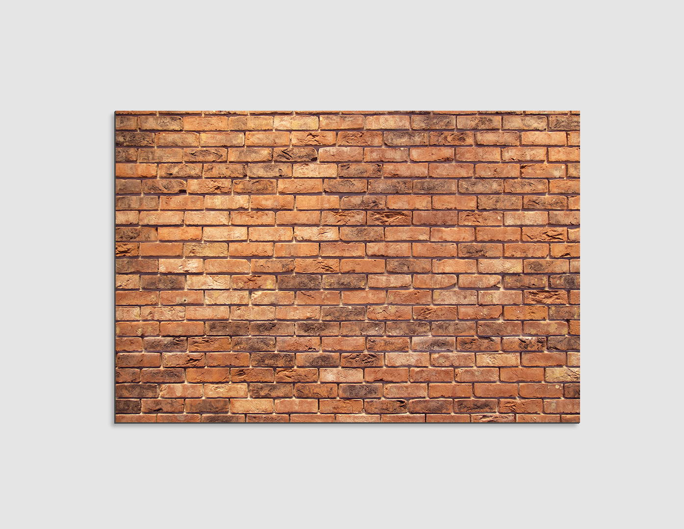 PARED DE LADRILLOS 2