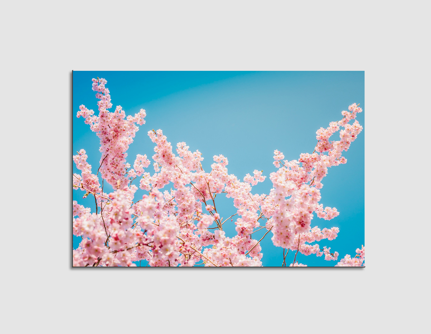CEREZO