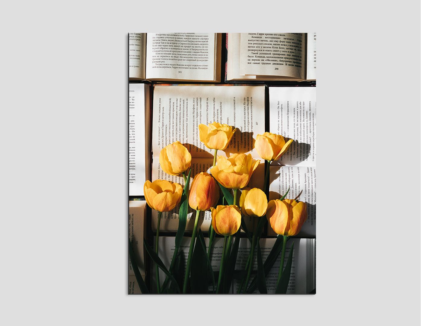 TULIPANES AMARILLOS SOBRE UN LIBRO