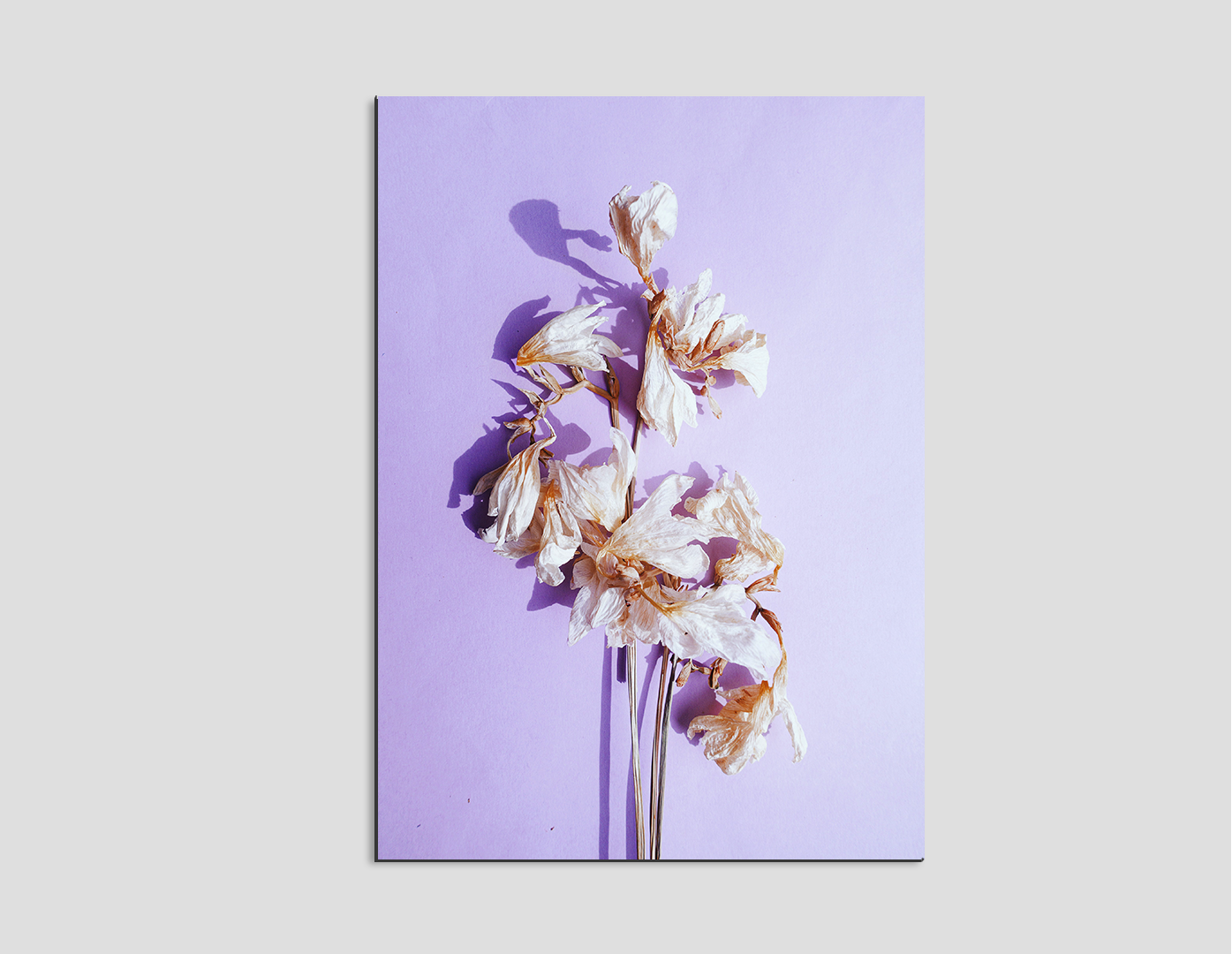 LILIUM