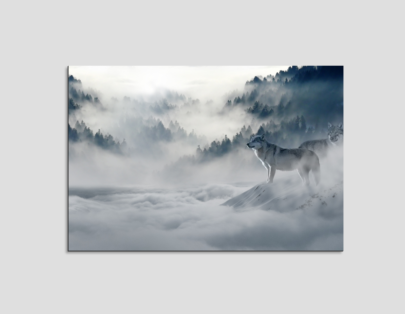 LOBOS