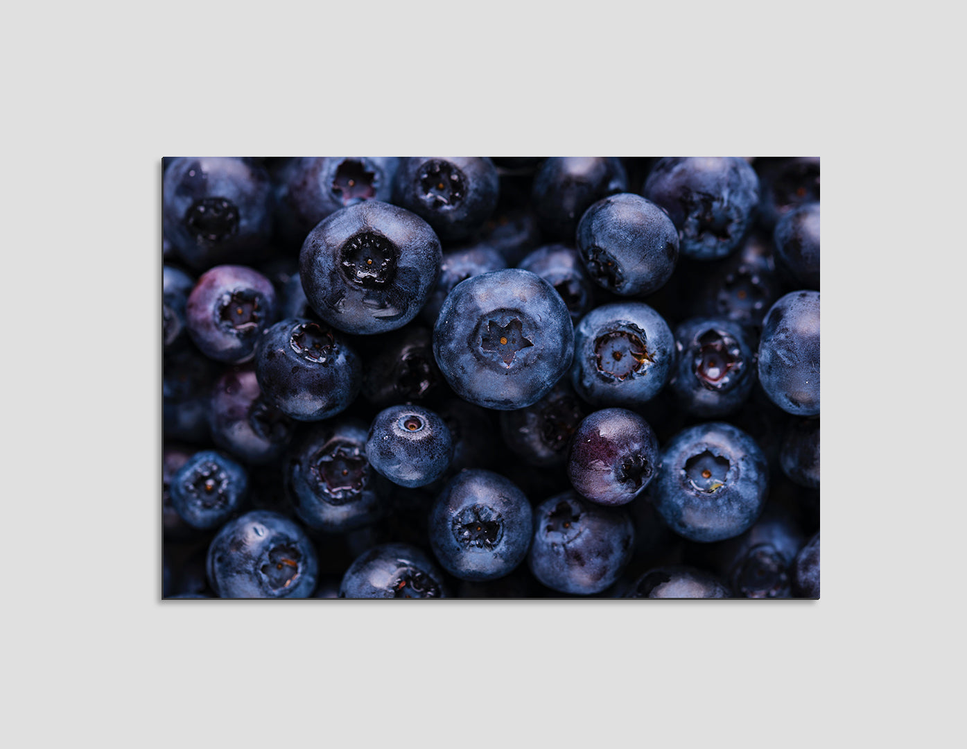 MORAS AZULES