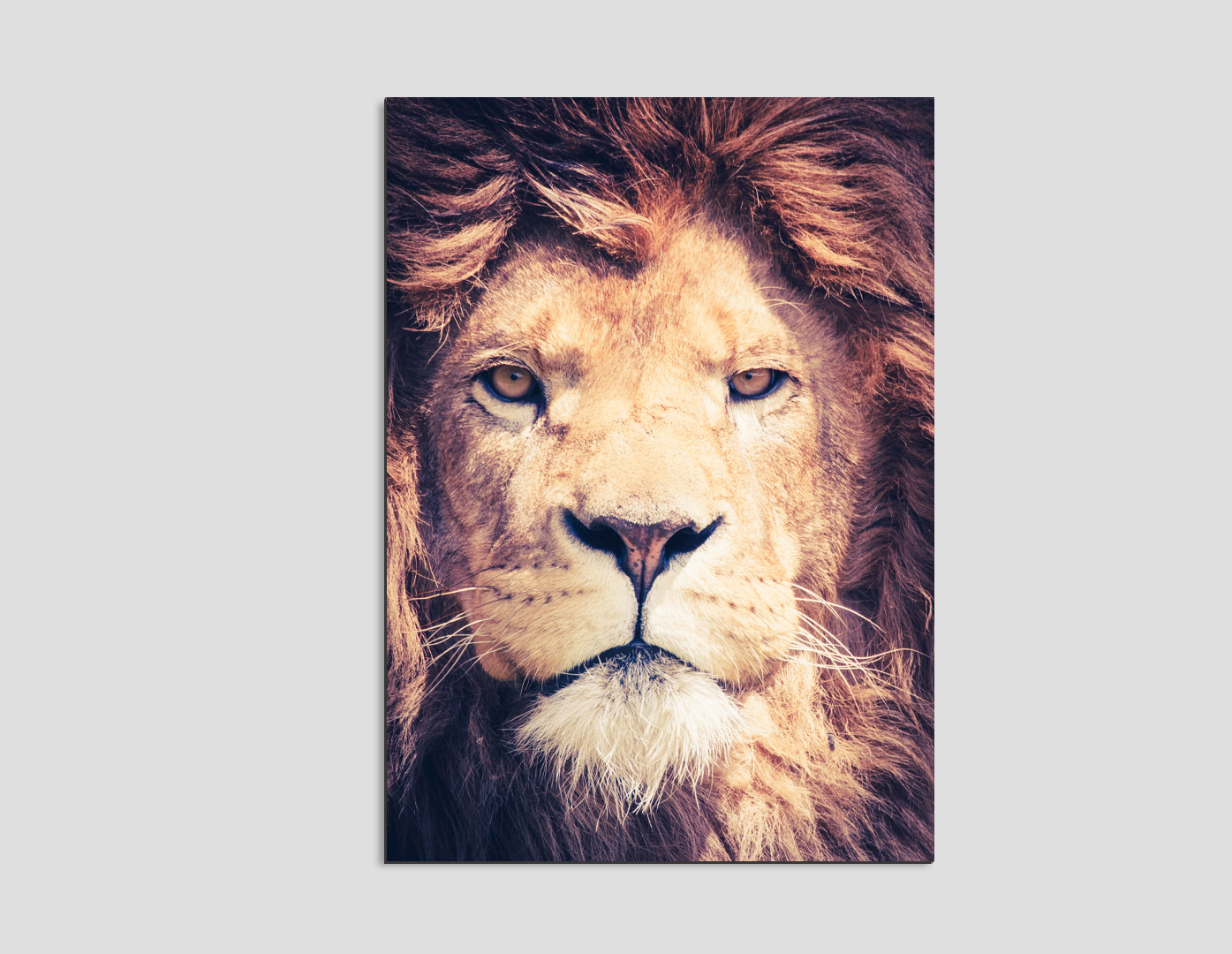 ROSTRO DE LEÓN COMPLETO