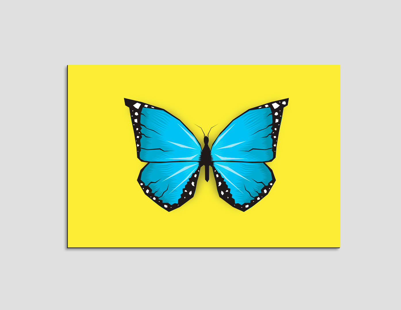 MARIPOSA AZUL