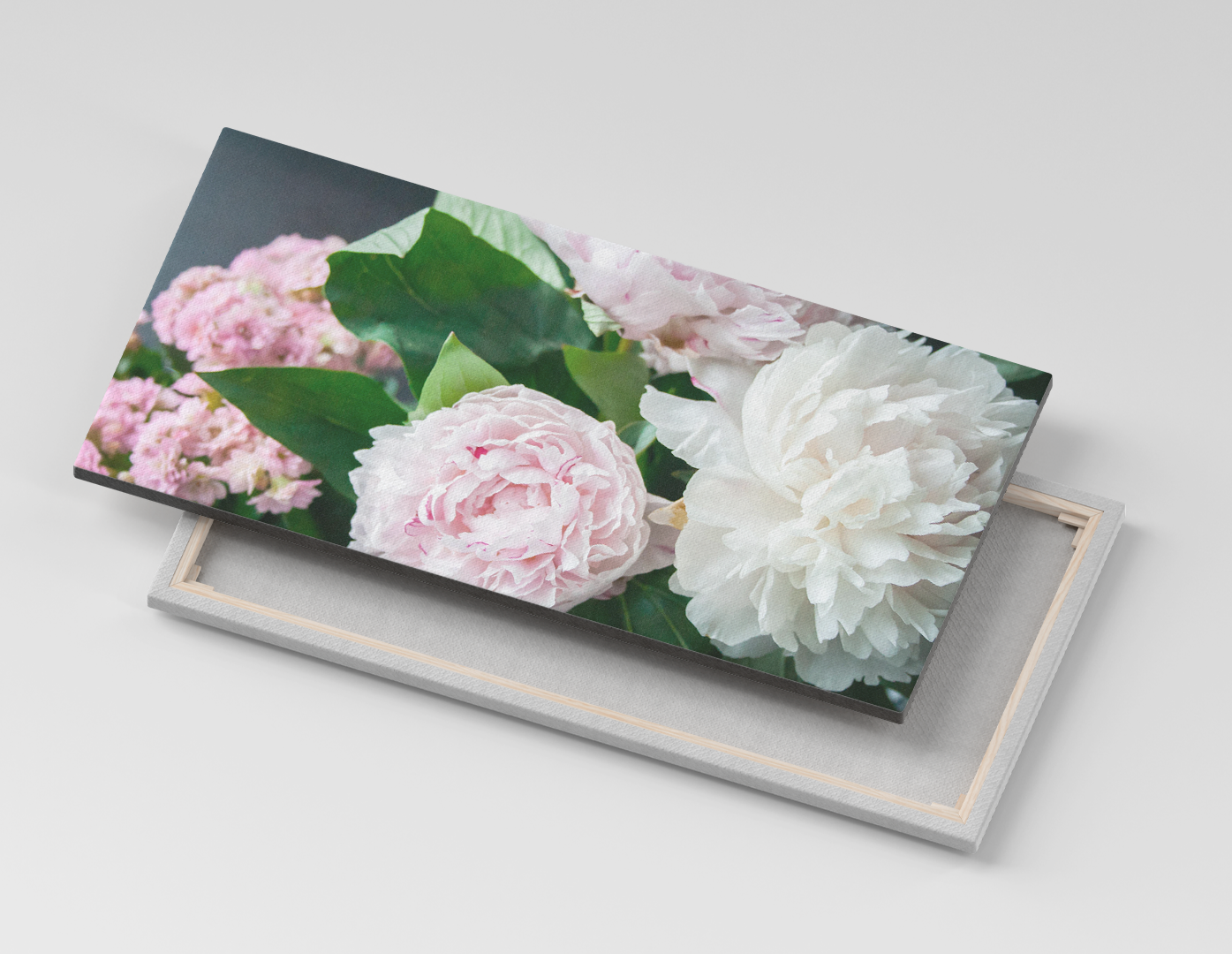 PEONIAS