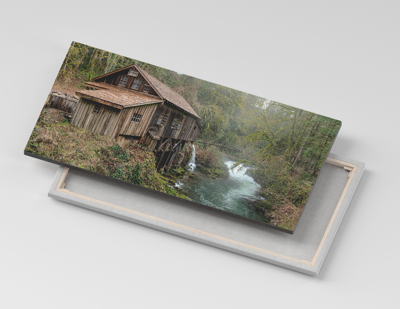 CABAÑA EN EL BOSQUE