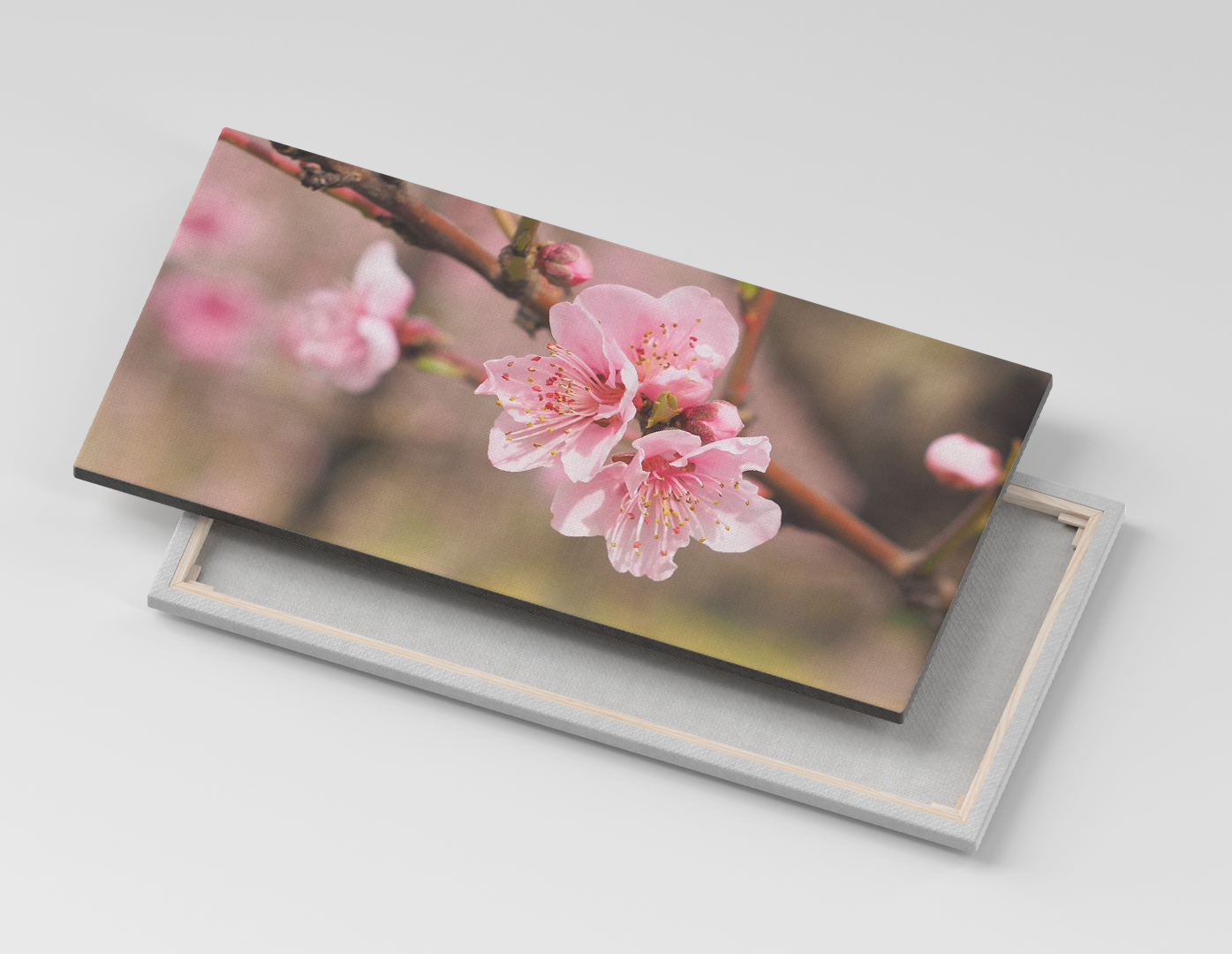 FLOR DE SAKURA