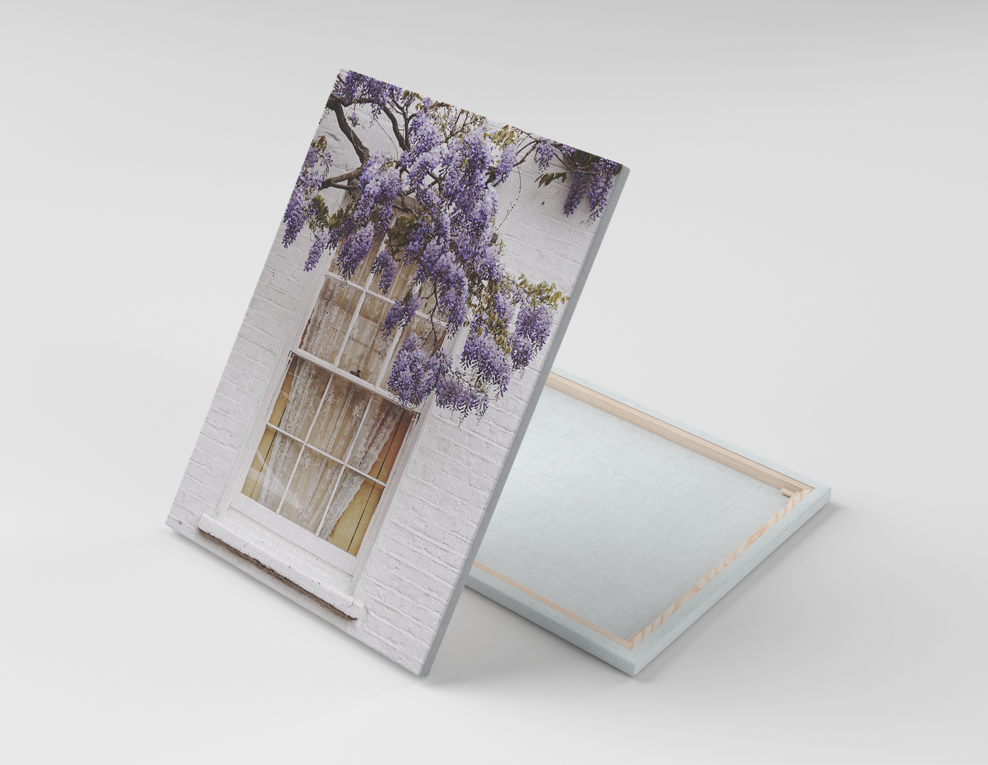 JACARANDAS POR LA VENTANA