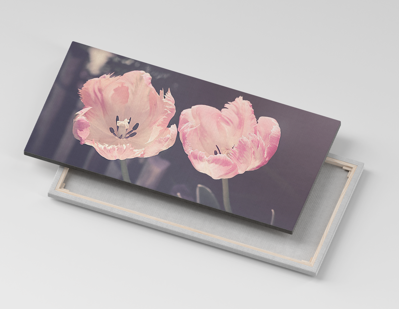 TULIPANES PASTEL