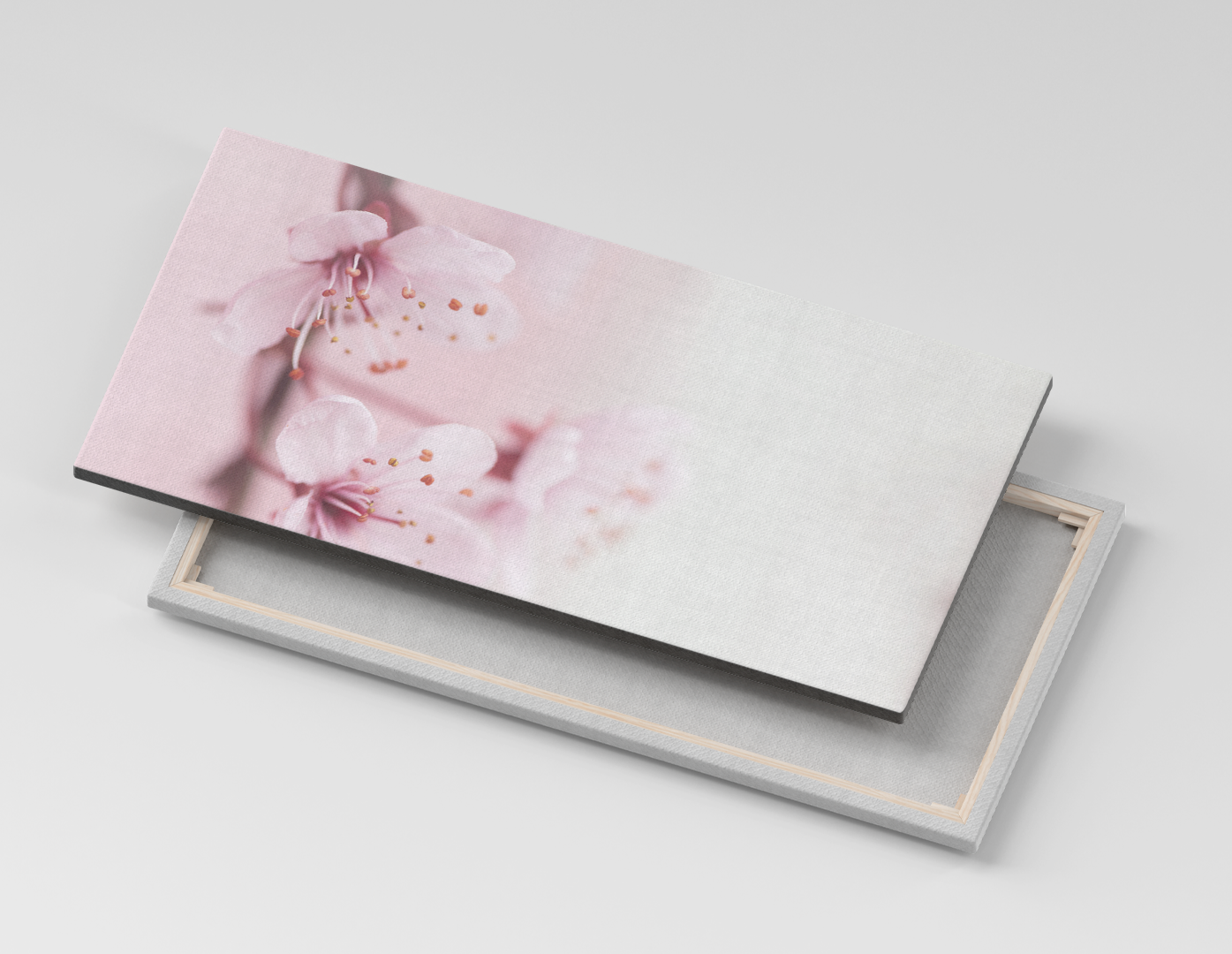 SAKURA ROSAS
