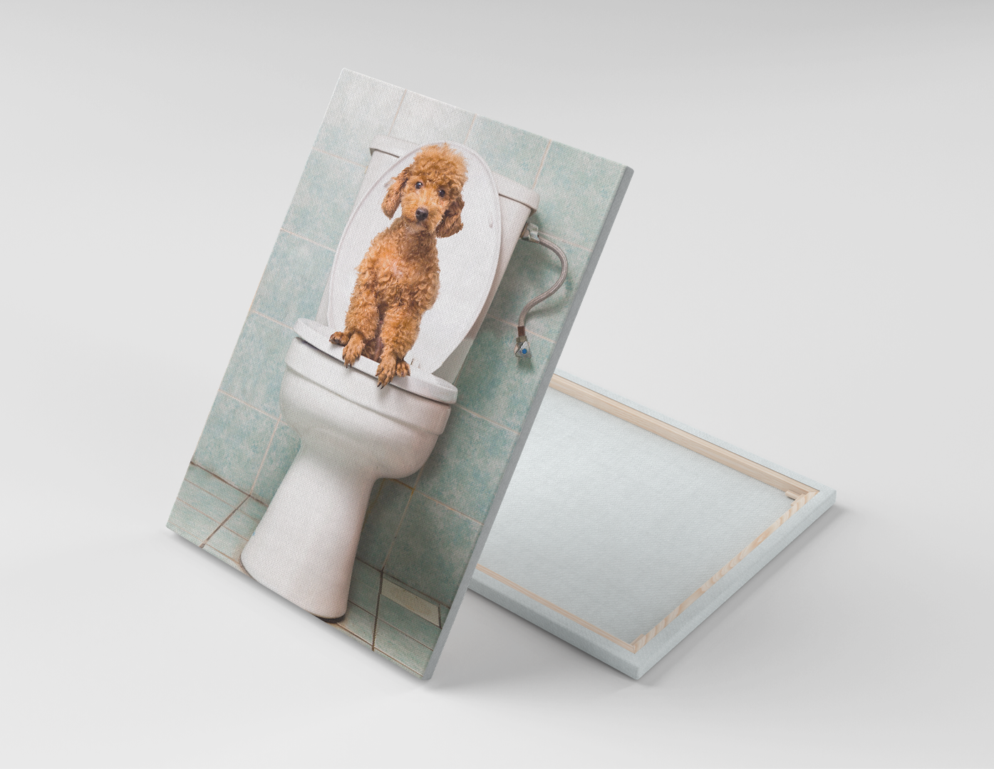 PODDLE EN EL BAÑO