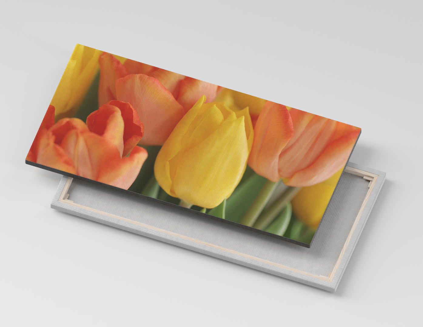 TULIPANES AMARILLOS Y NARANJAS