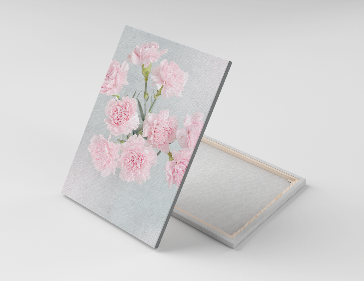 CLAVELES ROSAS