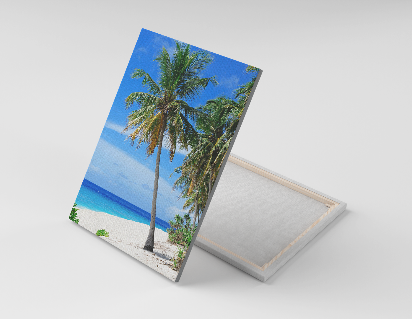 PALMERAS