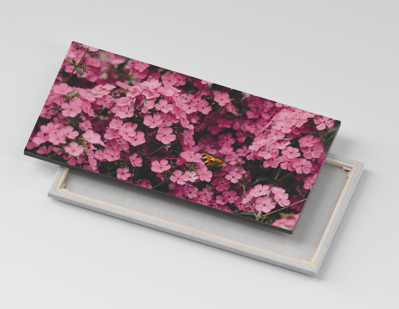 FLORES ROSADAS