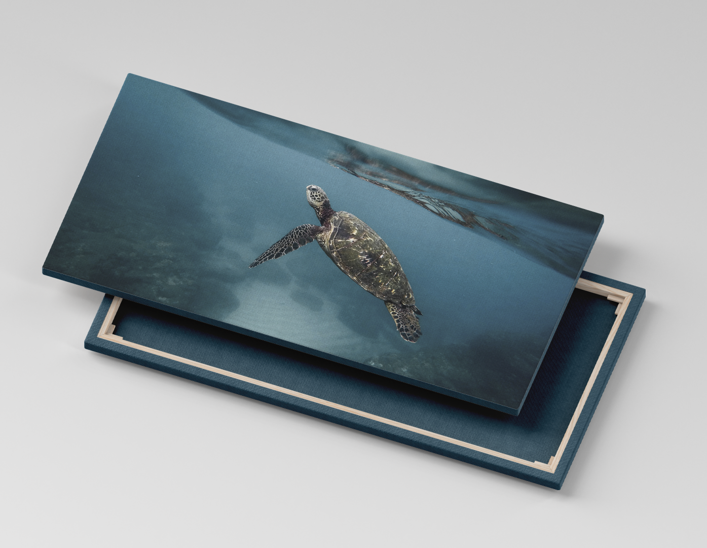 TORTUGA