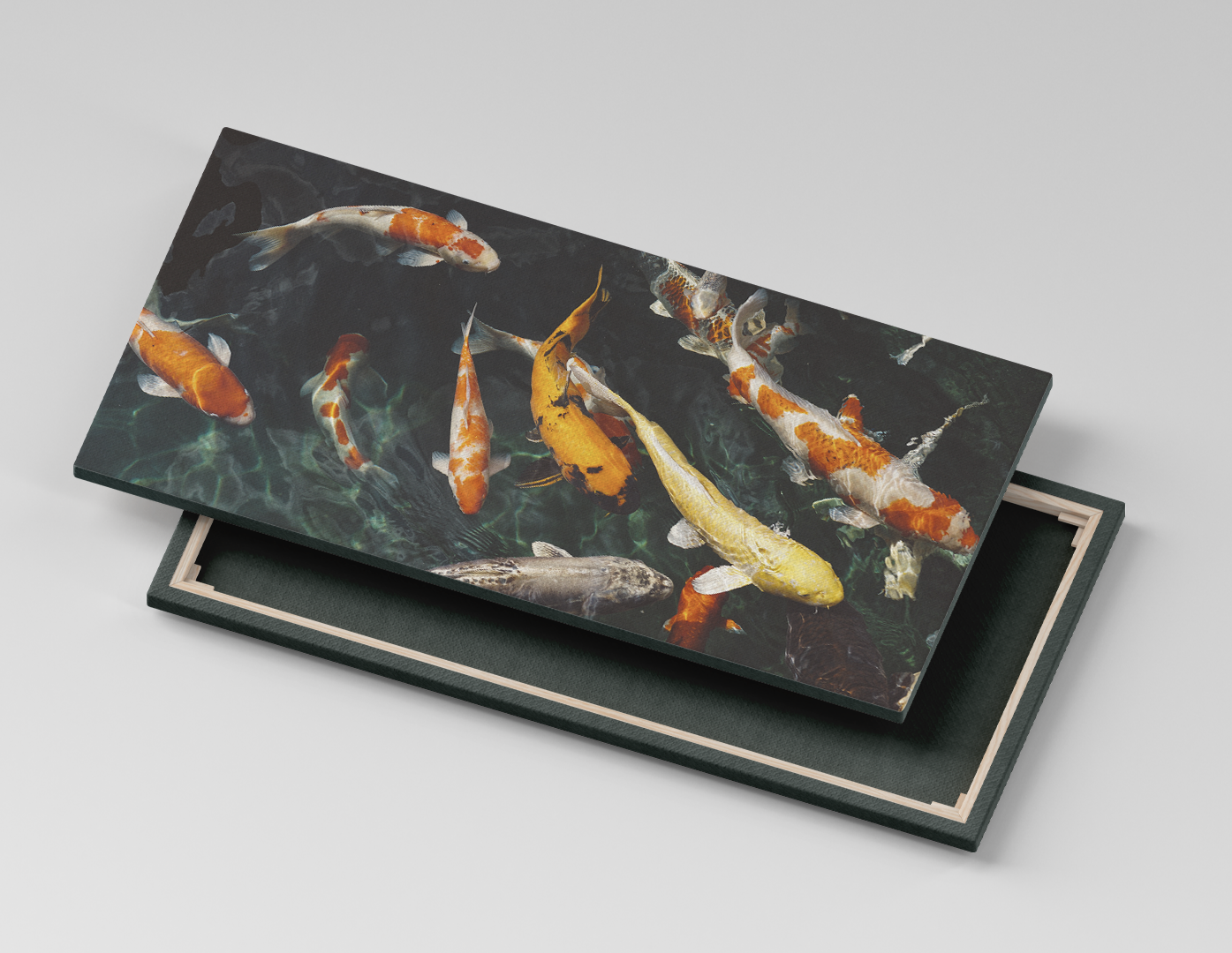 PECES KOI