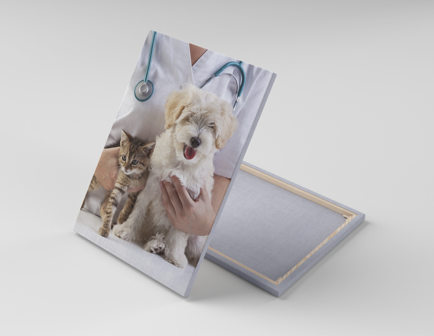 PERRO Y GATO BEBÉS