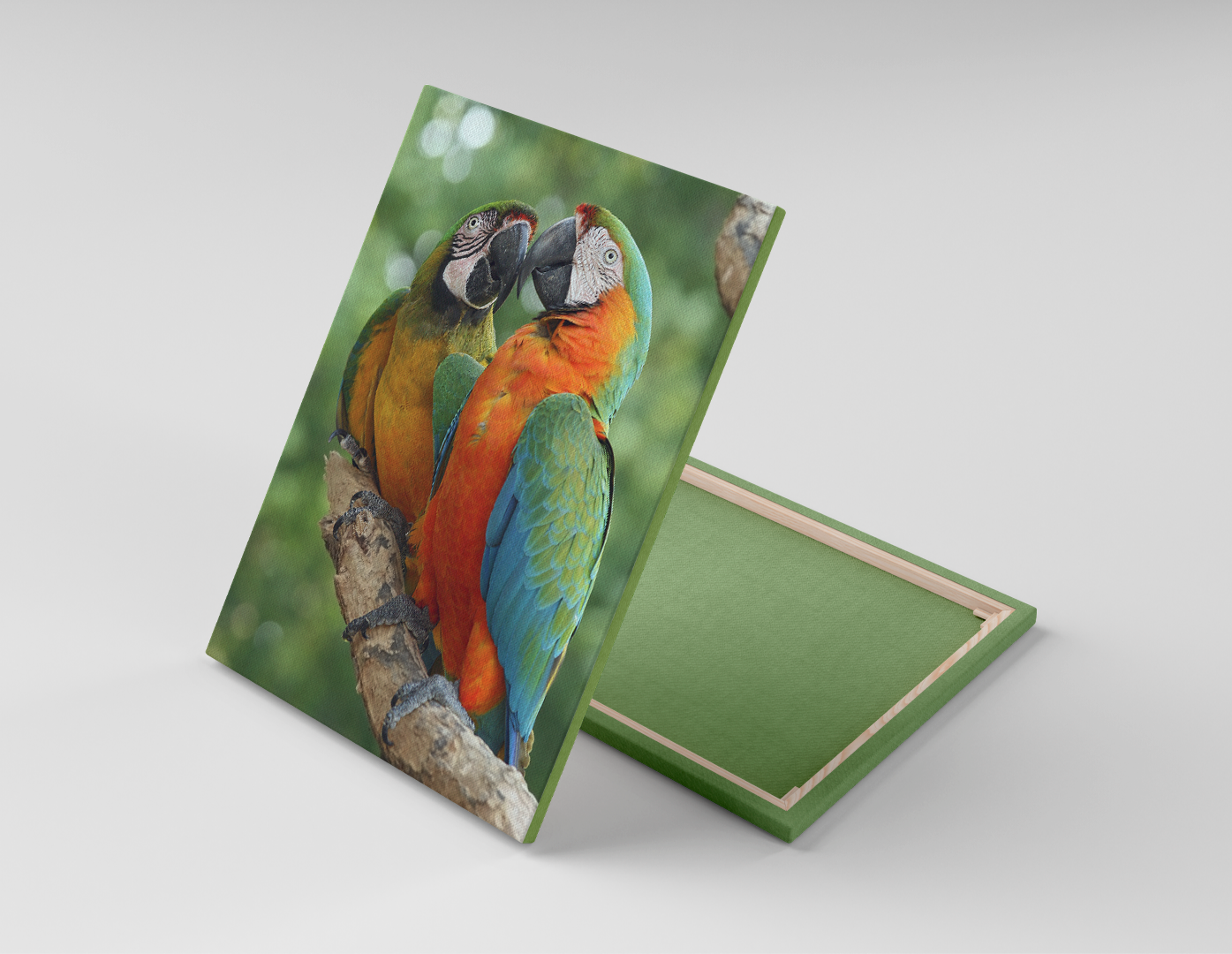 GUACAMAYAS