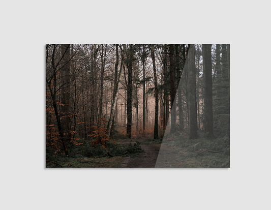 BOSQUE