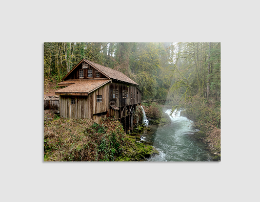 CABAÑA EN EL BOSQUE
