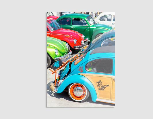 VOCHOS DE COLORES