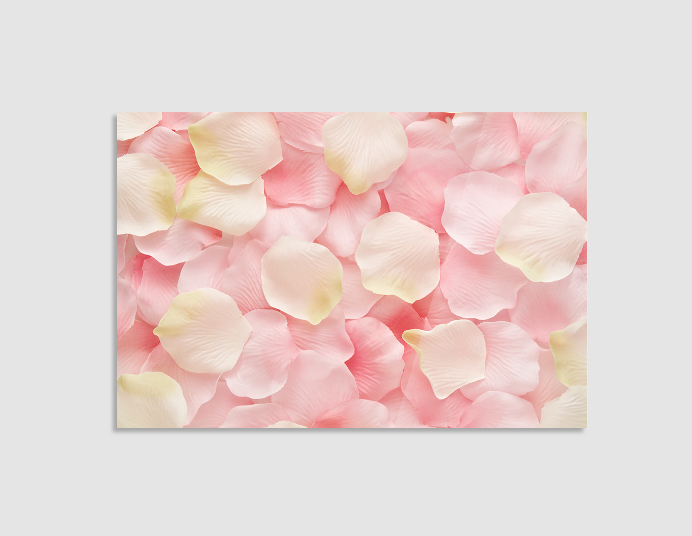 PÉATLOS ROSAS