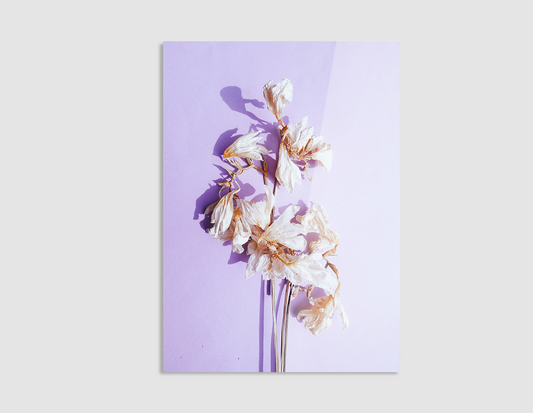 LILIUM