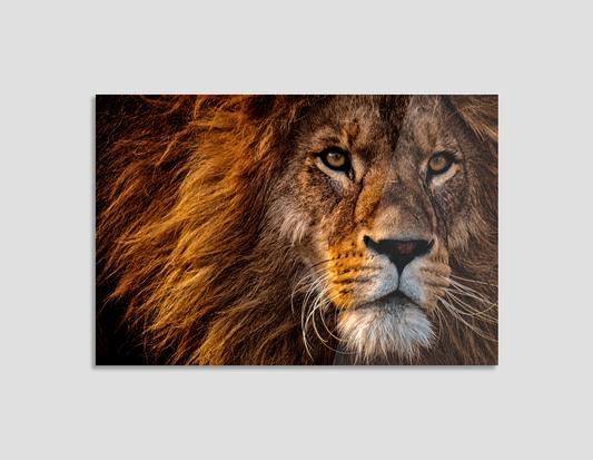 ROSTRO DE LEÓN CON MELENA