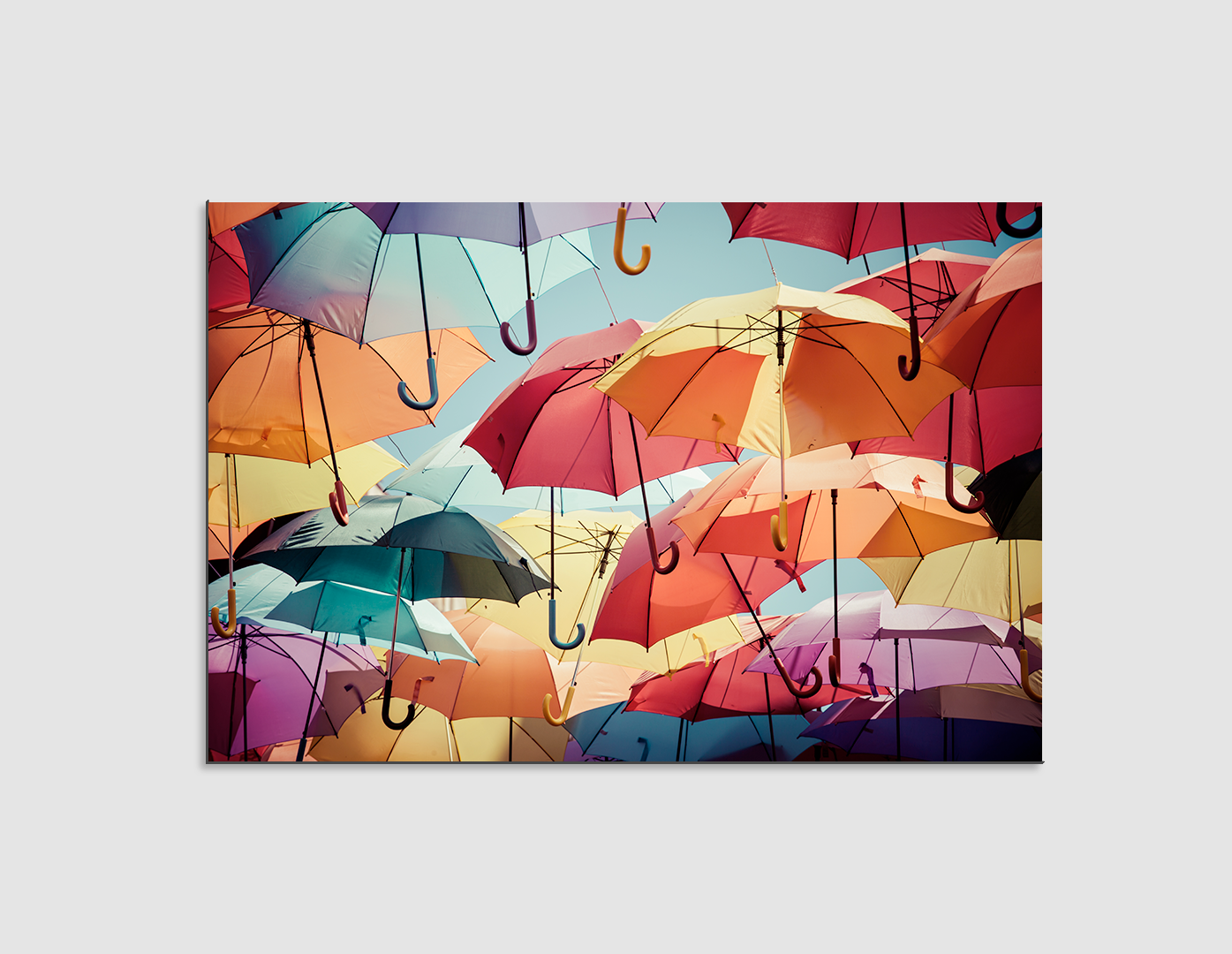 SOMBRILLAS DE COLORES