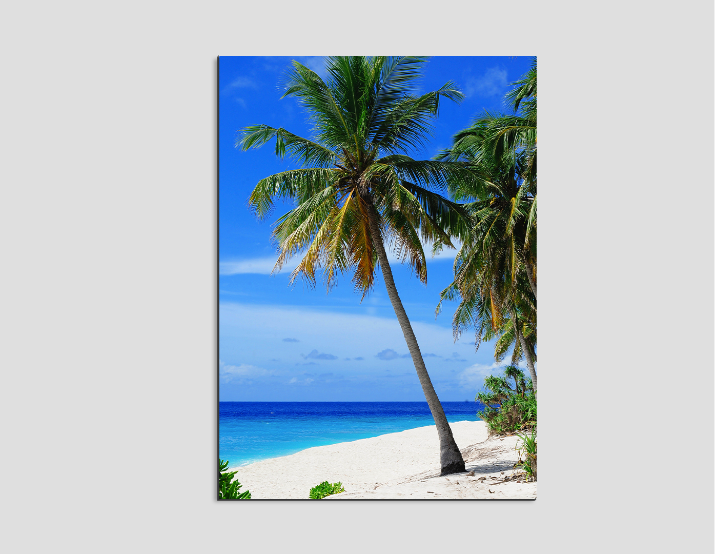 PALMERAS