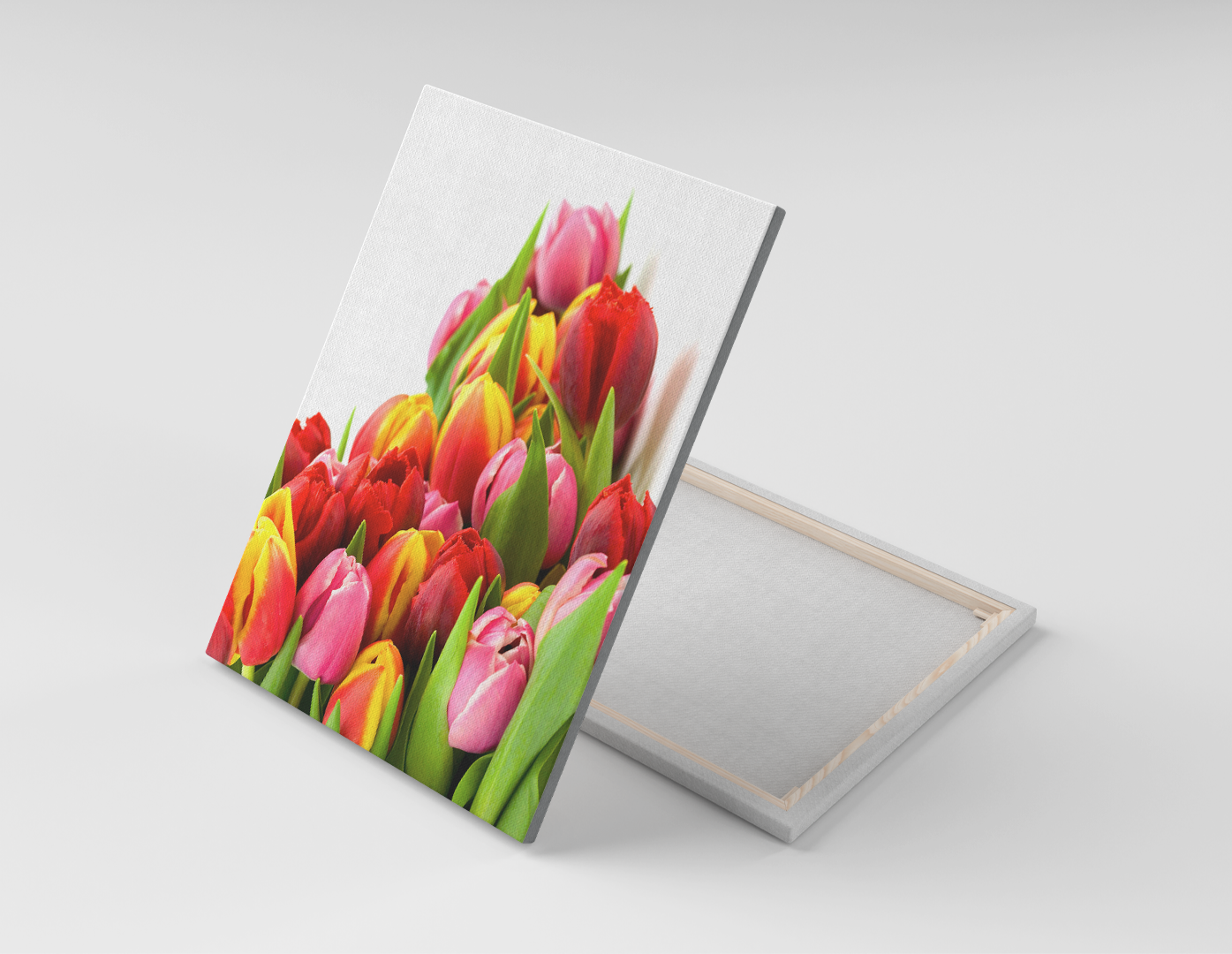 TULIPANES DE COLORES