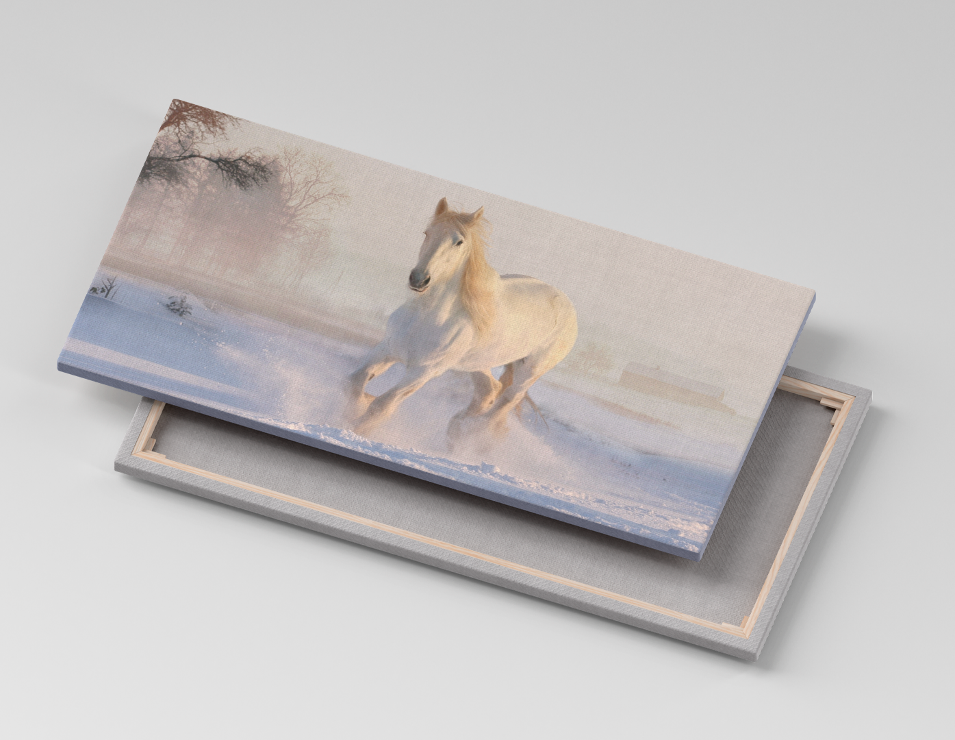 CABALLO BLANCO