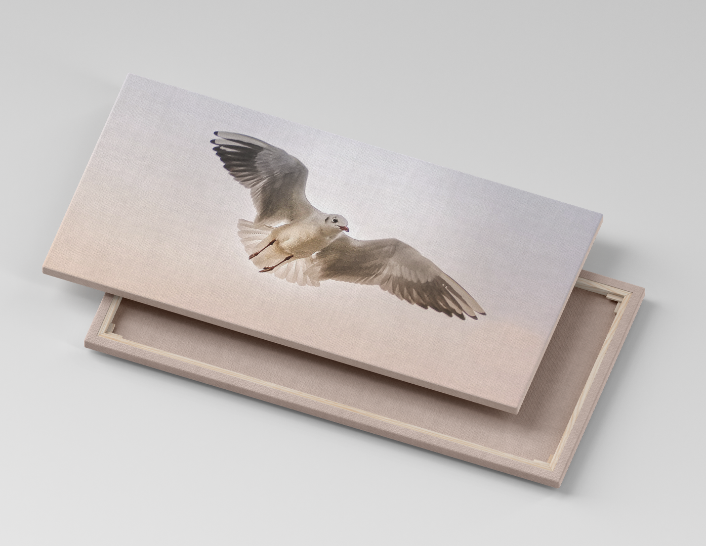 GAVIOTA
