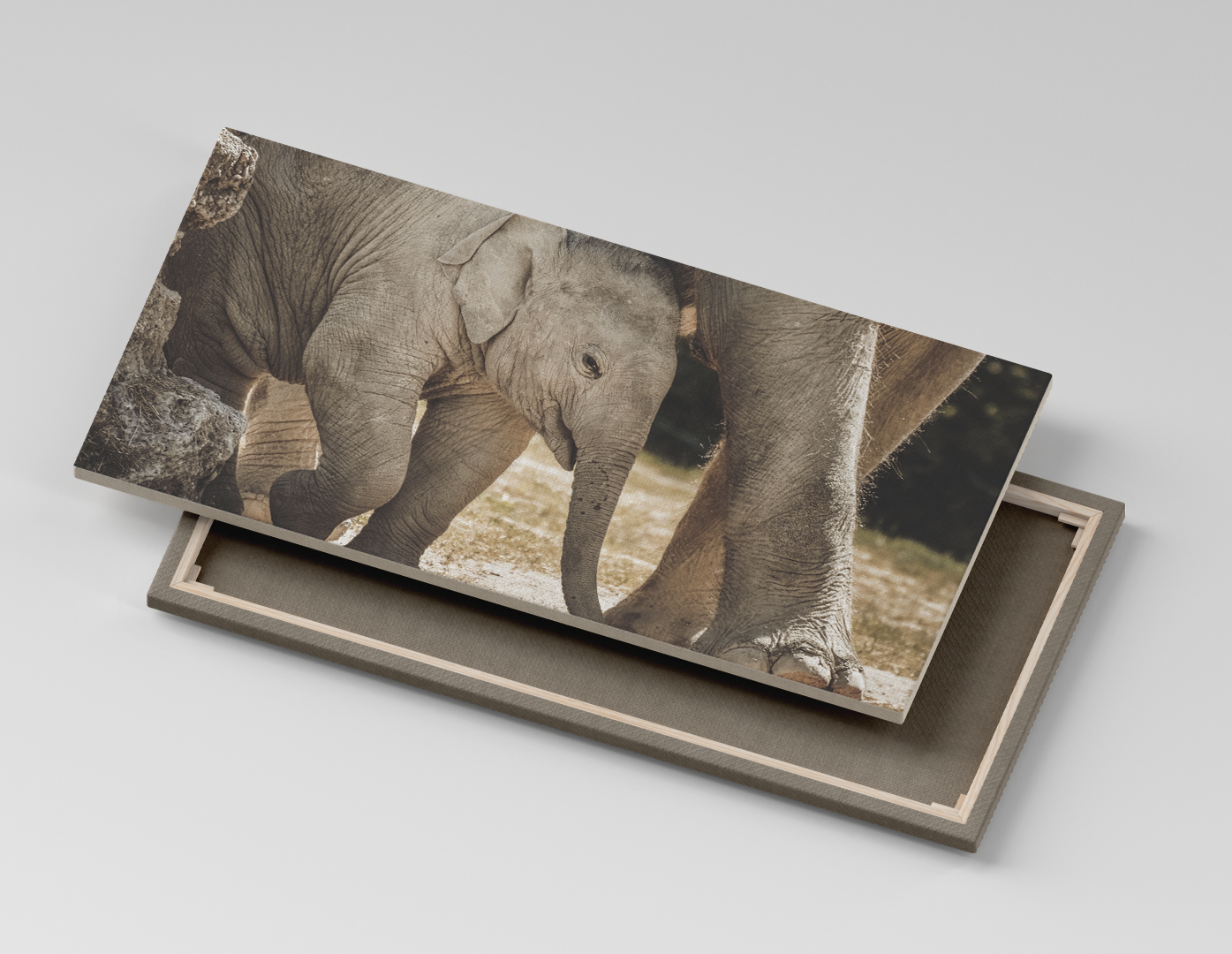 ELEFANTE BEBÉ
