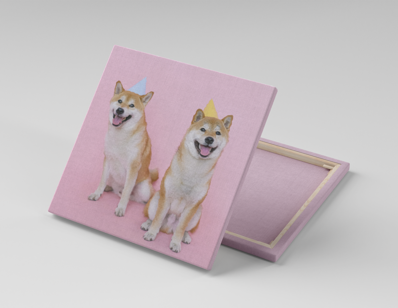 FIESTA DE SHIBA INUS