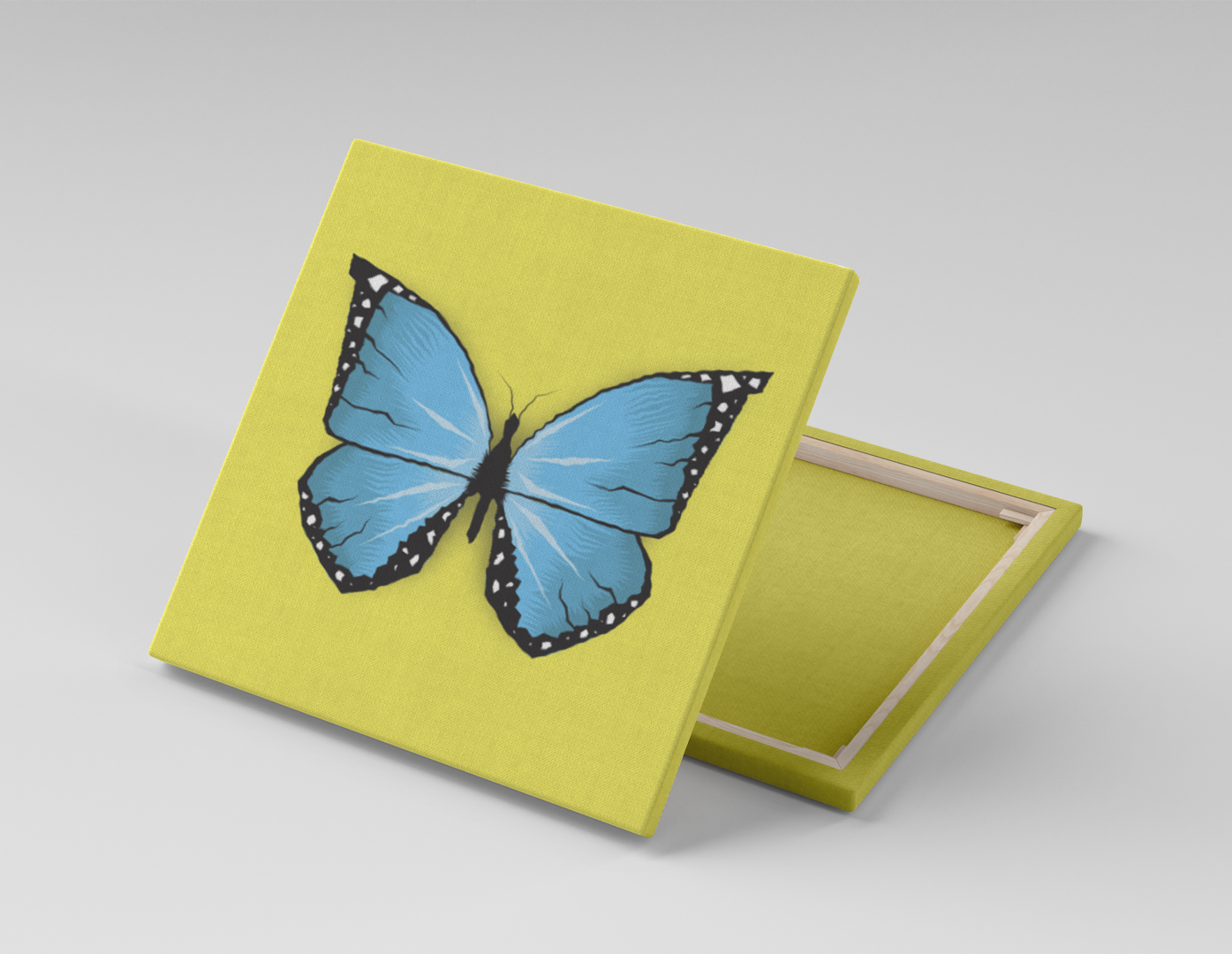 MARIPOSA AZUL